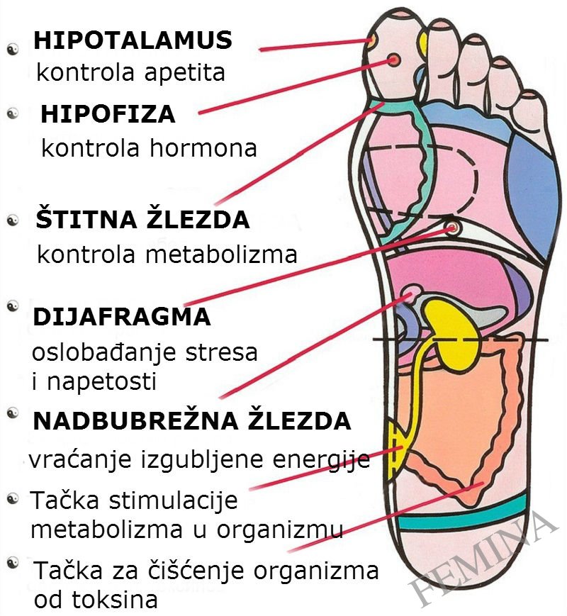 Refleksologija stopala