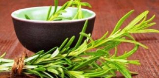 Sprečite opadanje kose. Lekovito bilje protiv opadanja kose.