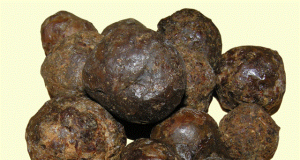 Propolis leči mnoge bolesti – lečenje propolisom.