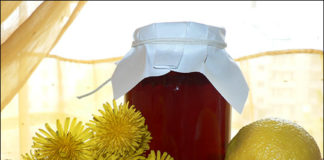 Lekovit džem za lečenje jetre i pročišćavanje krvi od maslačka