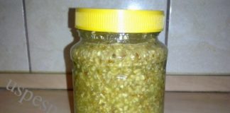 Magična mešavina akademika Filatova za poboljšanje i ojačanje vida.