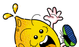 14 načina na koje možete iskoristiti linun.