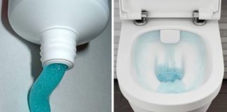 Originalan i praktičan osveživač vazduha u toaletu i kupatilu