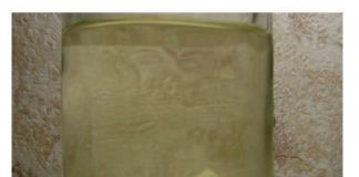 Tinktura od đumbira – prirodni lek