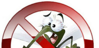 Oterajte komarce pomoću eteričnih ulja! Zamka za komarce koja deluje.