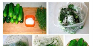 Letnji slani krastavčići. Jednostavno, brzo i ukusno.