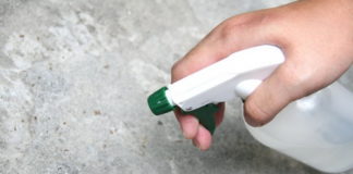 Kako se rešiti mrava u kući na prirodan način