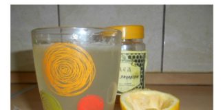 Zašto je dobro ujutru popiti čašu tople vode sa sokom od limuna.