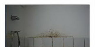 Kako ukloniti buđ iz kupatila