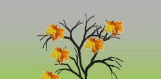 Jednostavne vežbe kojima ćete odmoriti oči i sačuvati vid.