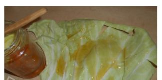 Kako izlečiti uporan kašalj i bronhitis sa listom kupusa i medom za 5 dana