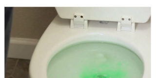 Šta raditi ako se zapušila WC šolja. Ne žurite u prodavnicu po štetnu hemiju!