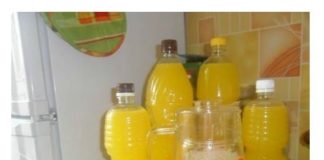 Ukusan i jeftin prirodni sok od narandže. Od 4 narandže – 9 litara soka!