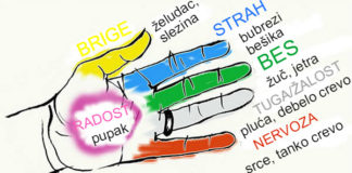 Kako su prsti na rukama neraskidivo povezani sa organima nešeg tela.Tajna harmoniji duše i tela.
