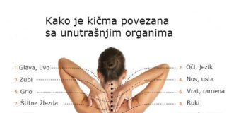 Pravi uzrok bola: Kako je kičma povezana sa unutrašnjim organima
