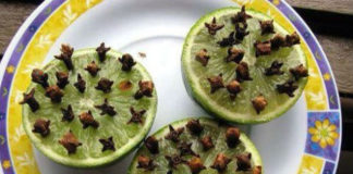 Pravimo aromatično i efikasno sredstvo protiv komaraca