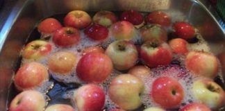 Kako smanjiti sadržaj pesticida u voću i povrću.