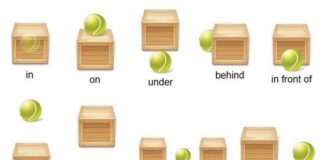 Osnovni predlozi engleskog jezika. Ono što se uči na prvom mestu!