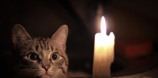 Trataka. Vežba fokusa i koncentracije.