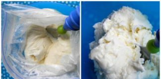 Kako napraviti domaći sladoled u vrećici za 10 minuta. Veoma ukusno i jednostavno!