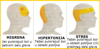 Simptomi hipertonije, migrene i stresa.