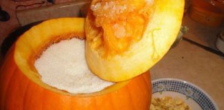 Med od bundeve – pravi melem za vašu jetru: kako ga napraviti