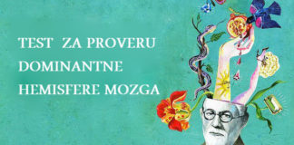 Proverite rad svog mozga za nekoliko sekundi. Najpopularniji test za proveru dominantne hemisfere mozga.