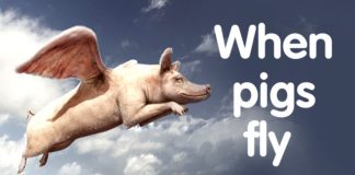 Naučite idiome da ne biste obrali bostan