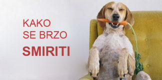 Kako se brzo smiriti bez korišćenja lekova. Tehnika koja bezuslovno deluje.