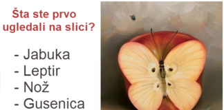 Šta ste prvo ugledali na slici. Test je tačan 98%!