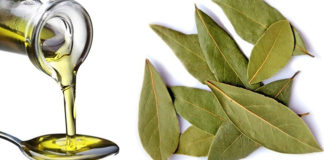 Čudo sredstvo protiv mnogih bolesti: neverovatna svojstva lovorovog ulja.
