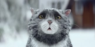 Najčarobnija božićna reklama ikad viđena