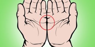 Šta linije srca na dlanovima govore o vama