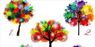 Izaberite drvo i saznajte nešto novo o sebi