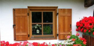 Da muškatle obraduju cvetanjem potrebna je samo 1 kap joda