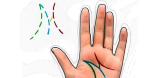 Pogledajte u svoj dlan: Imate li slovo M na njemu?