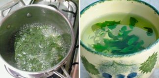 U utorak je imala 72 kg, a u nedelju 68! Nema sumnje – čudo biljka!