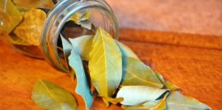 Poslagala je suve listove po svim ćoškovima u kući. Ne vidim razlog da ne uradim isto tako.