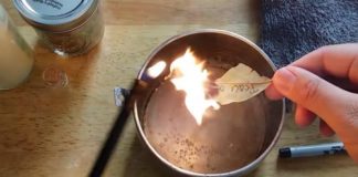 Evo šta će se desiti ako u svom domu zapalite lovorov list