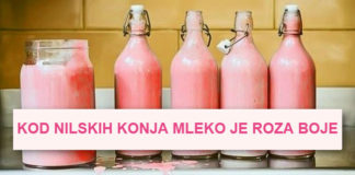 18 zaniimljivih činjenica koje zvuče kao laž, ali su istinite