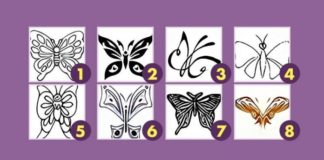 Izaberite leptira i saznajte više o sebi.