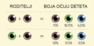 Kakvu će boju očiju imati vaše dete?