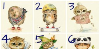 Izaberite sovu koja vam se sviđa i saznajte više o svom karakteru