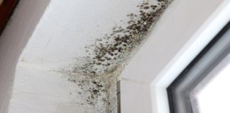 Sa ovim sredstvom zaboravite na buđ, zauvek!