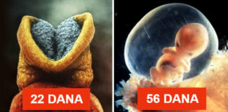 Kako nastaje  ljudski život