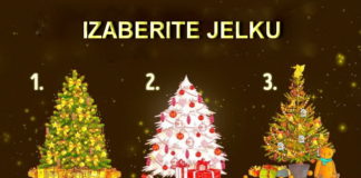 Izaberite novogodišnju jelku i saznajte kakva godina vas očekuje