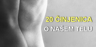 20 činjenica o našem telu