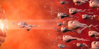 9 meseci trudnoće za 4 minute