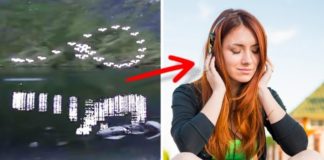 Naučnici su otkrili da ova melodija smanjuje nivo stresa za 65%.