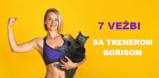 7 načina zameniti teretanu jednom mačkom